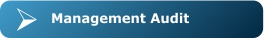 Management Audit
